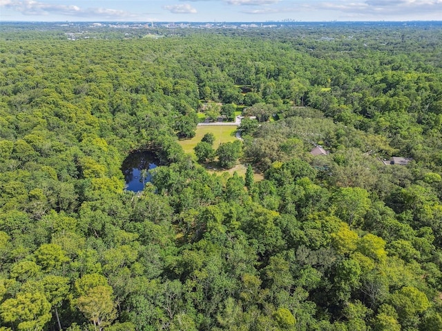 2612 Regal Oaks Ln, Lutz, FL 33559 - photo 46