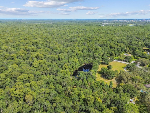 2612 Regal Oaks Ln, Lutz, FL 33559 - photo 47