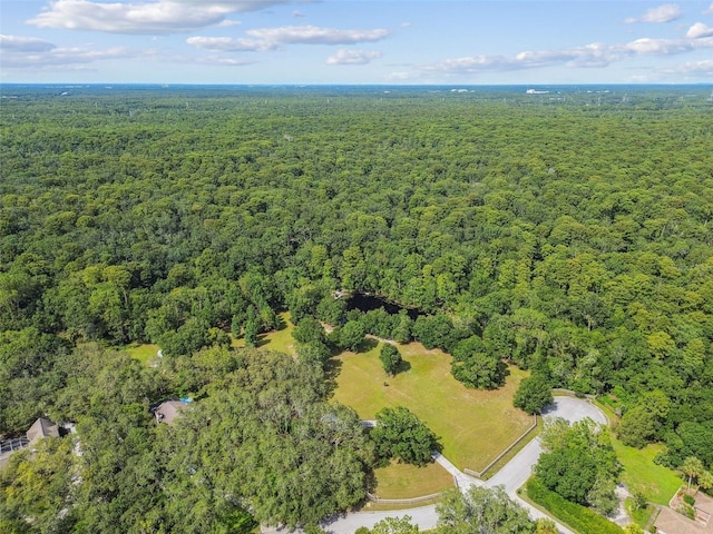2612 Regal Oaks Ln, Lutz, FL 33559 - photo 51