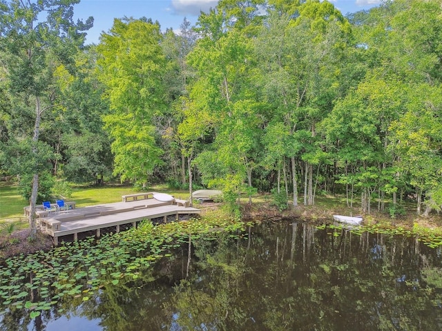 2612 Regal Oaks Ln, Lutz, FL 33559 - photo 62
