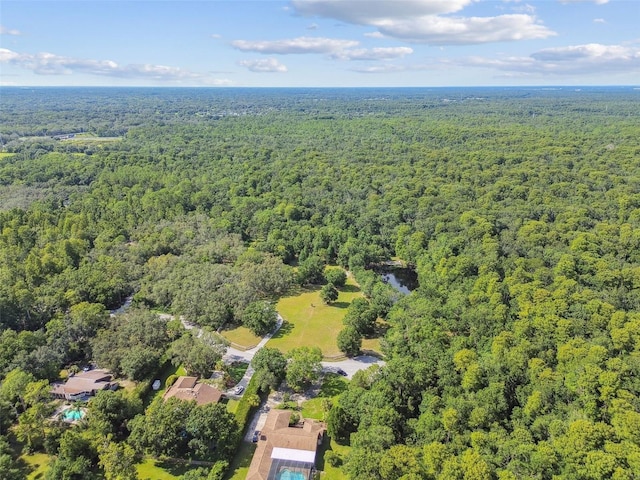 2612 Regal Oaks Ln, Lutz, FL 33559 - photo 63