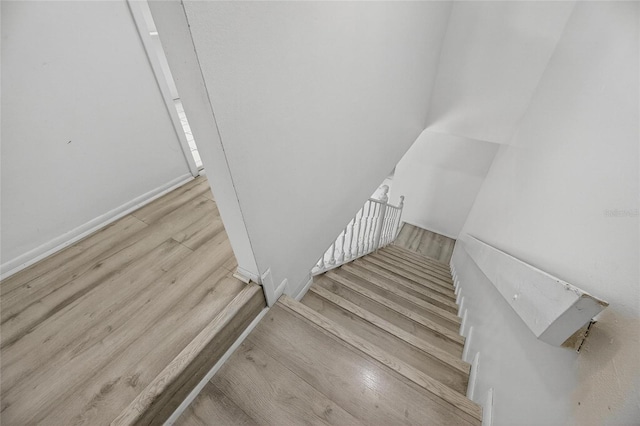 11703 Wesson Cir W, Tampa, FL 33618 - photo 23