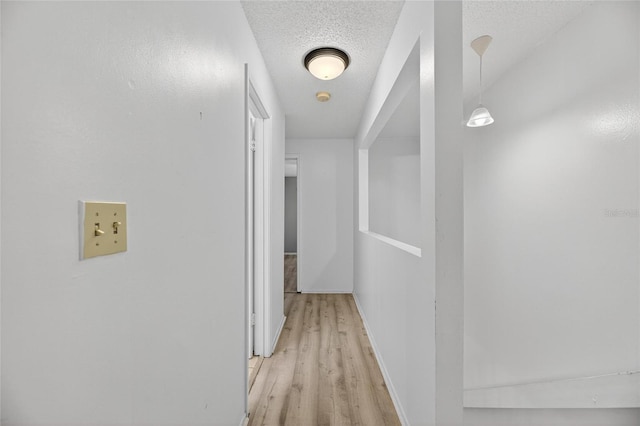 11703 Wesson Cir W, Tampa, FL 33618 - photo 28