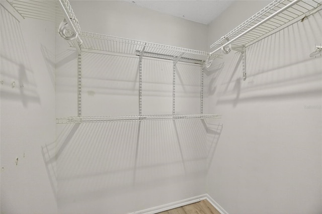 11703 Wesson Cir W, Tampa, FL 33618 - photo 32