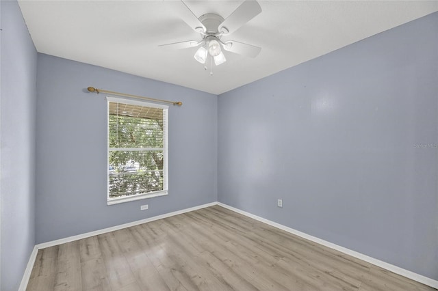 11703 Wesson Cir W, Tampa, FL 33618 - photo 38