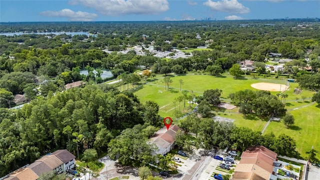 11703 Wesson Cir W, Tampa, FL 33618 - photo 48
