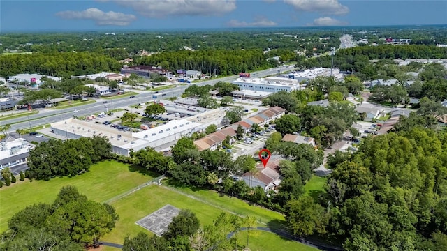 11703 Wesson Cir W, Tampa, FL 33618 - photo 52