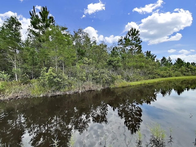 10930 Banyan Breeze Blvd, Land O Lakes, FL 34638 - photo 27