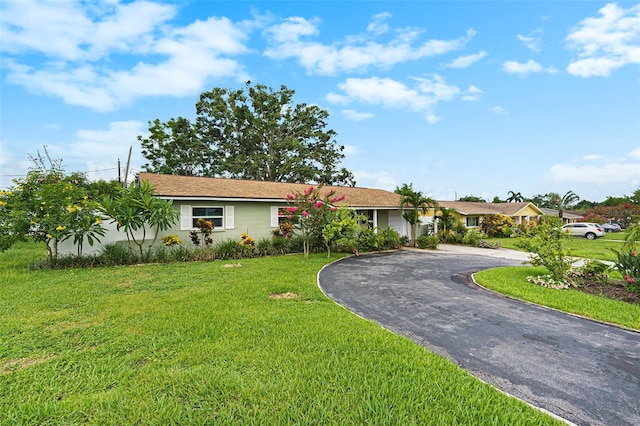 5216 30th Ave N, Saint Petersburg, FL 33710 - photo 6