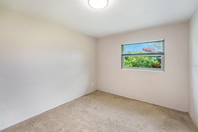 5216 30th Ave N, Saint Petersburg, FL 33710 - photo 16
