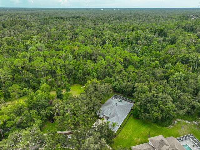 5819 Bent Grass Dr, Valrico, FL 33596 - photo 47