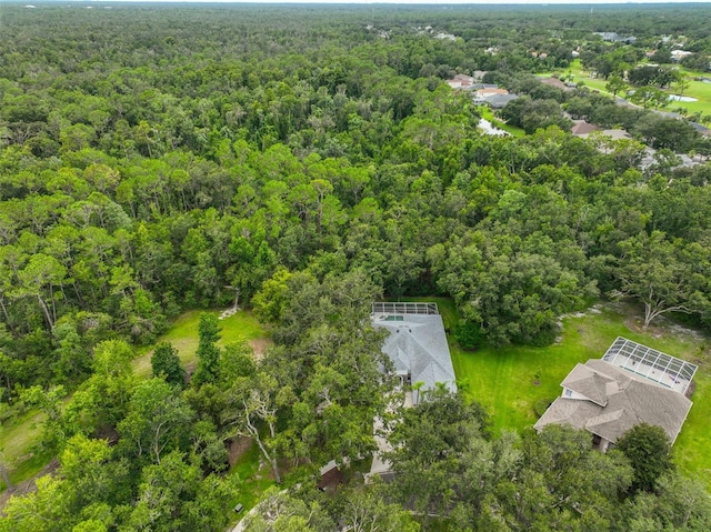 5819 Bent Grass Dr, Valrico, FL 33596 - photo 46