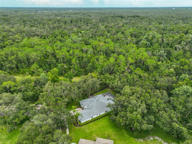 5819 Bent Grass Dr, Valrico, FL 33596 - photo 48