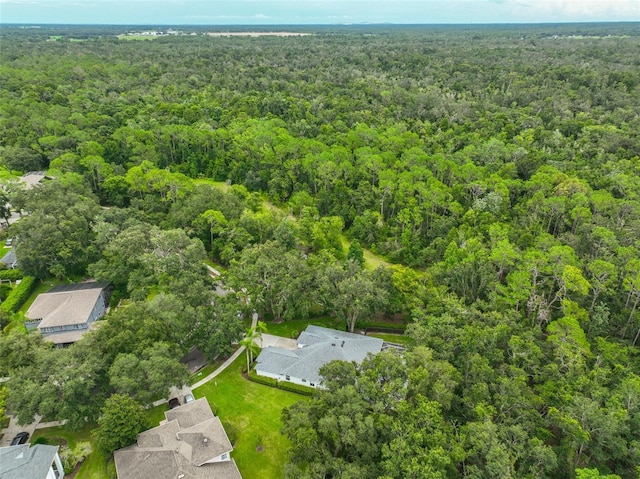 5819 Bent Grass Dr, Valrico, FL 33596 - photo 49