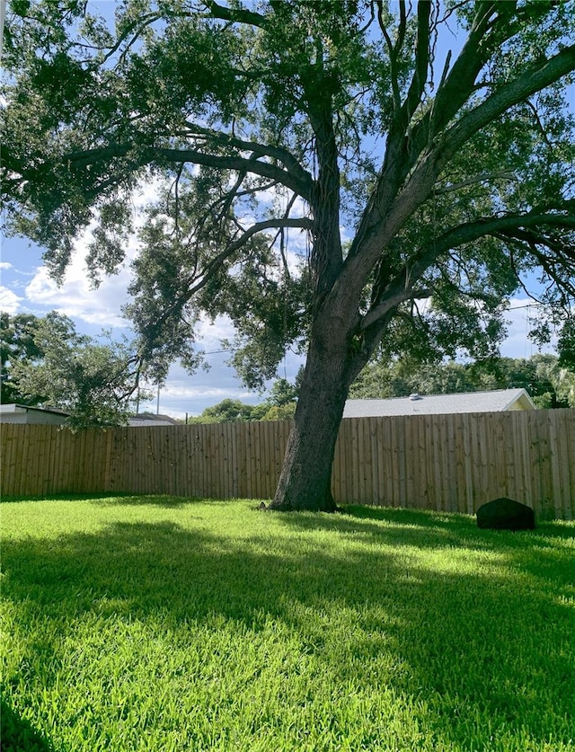 2222 E Clark St, Tampa, FL 33605 - photo 2