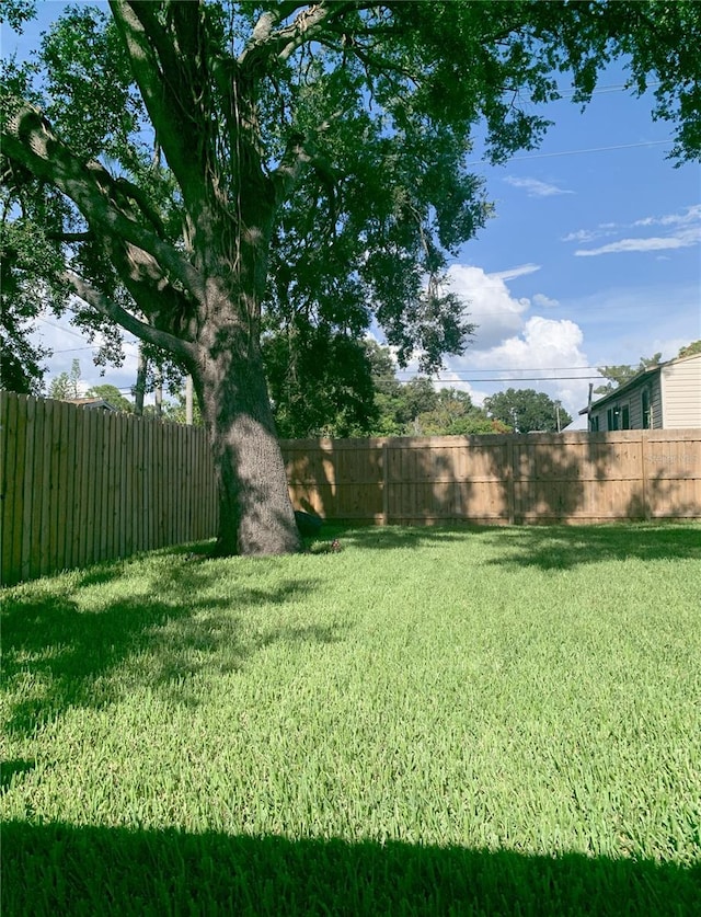 2222 E Clark St, Tampa, FL 33605 - photo 4