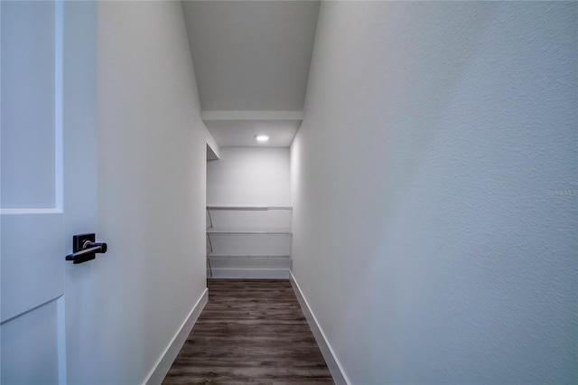 2222 E Clark St, Tampa, FL 33605 - photo 13