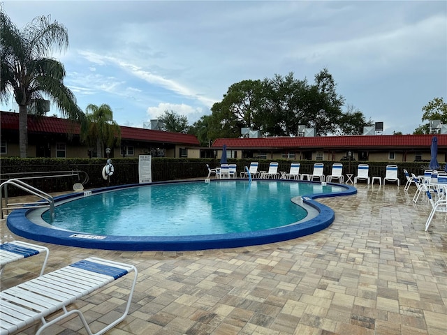 601 N Hercules Ave Unit 306, Clearwater, FL 33765 - photo 33