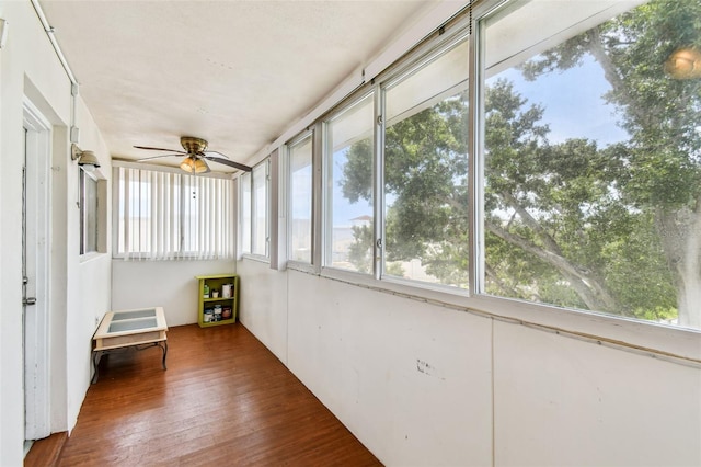 8080 112th St Unit 301, Seminole, FL 33772 - photo 32