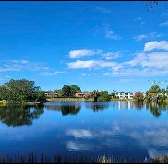 611 N Keene Rd Unit C, Clearwater, FL 33755 - photo 25