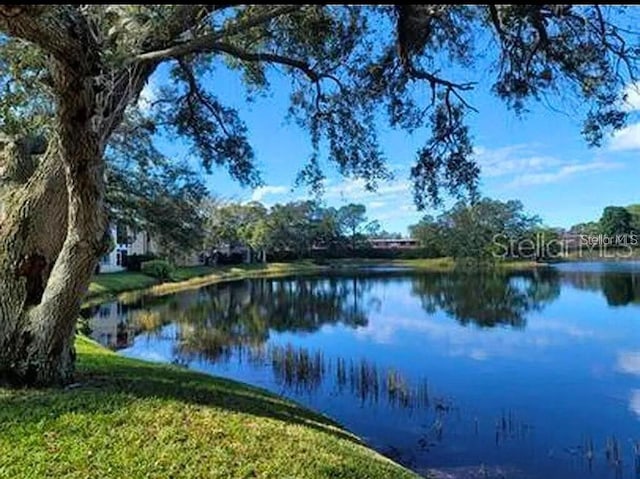 611 N Keene Rd Unit C, Clearwater, FL 33755 - photo 26