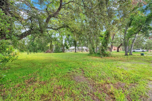 1st Ave N, Safety Harbor, FL 34695 - photo 2