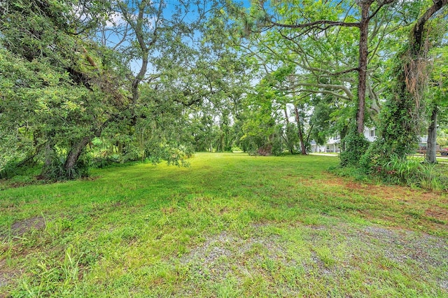 1st Ave N, Safety Harbor, FL 34695 - photo 3