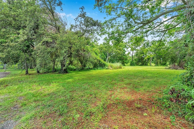 1st Ave N, Safety Harbor, FL 34695 - photo 4
