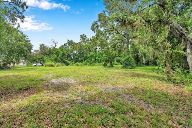 1st Ave N, Safety Harbor, FL 34695 - photo 5