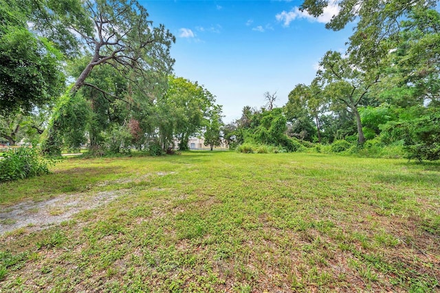 1st Ave N, Safety Harbor, FL 34695 - photo 6