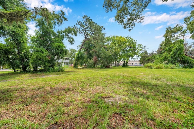 1st Ave N, Safety Harbor, FL 34695 - photo 7