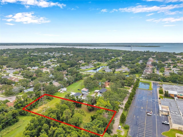1st Ave N, Safety Harbor, FL 34695 - photo 11
