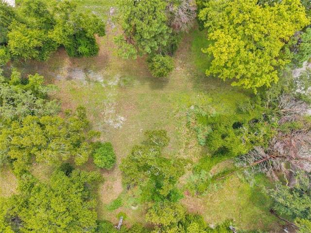 1st Ave N, Safety Harbor, FL 34695 - photo 15
