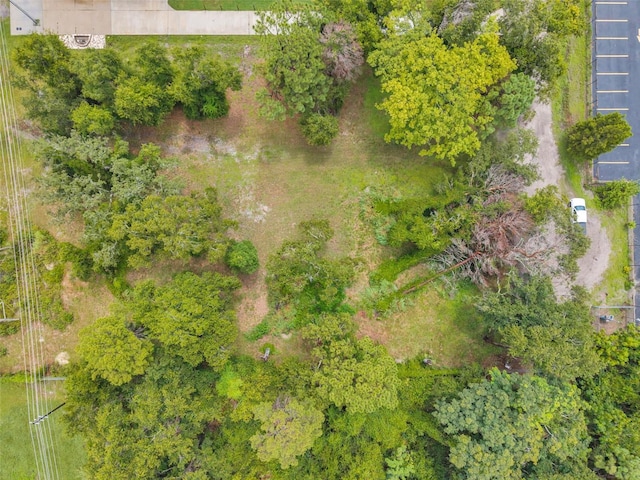 1st Ave N, Safety Harbor, FL 34695 - photo 16