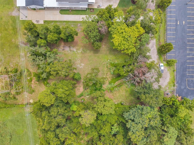 1st Ave N, Safety Harbor, FL 34695 - photo 17