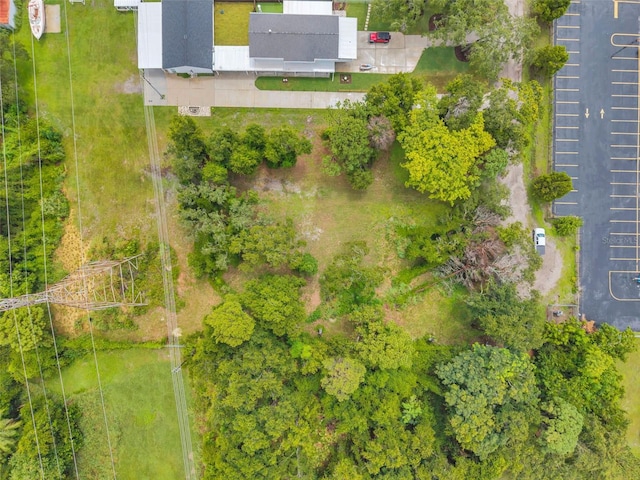1st Ave N, Safety Harbor, FL 34695 - photo 18