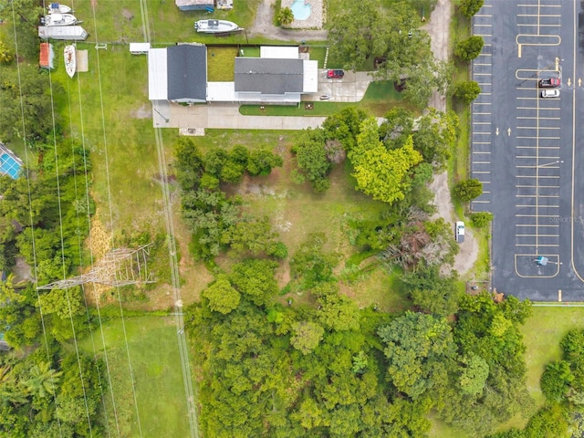 1st Ave N, Safety Harbor, FL 34695 - photo 19
