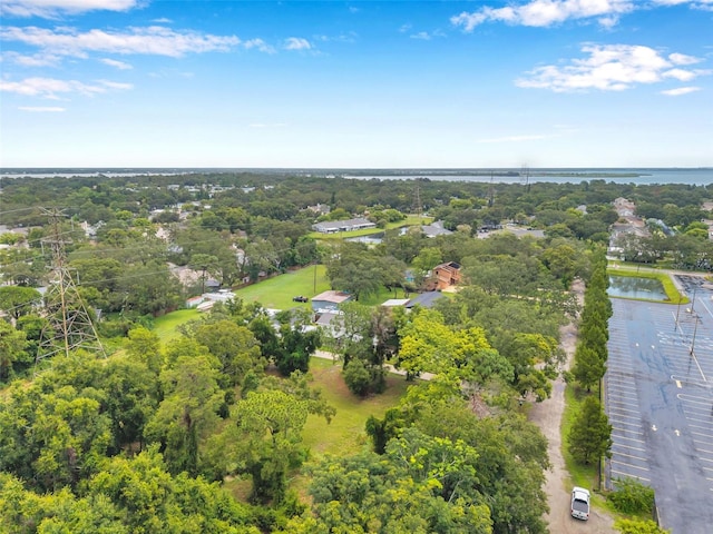 1st Ave N, Safety Harbor, FL 34695 - photo 22