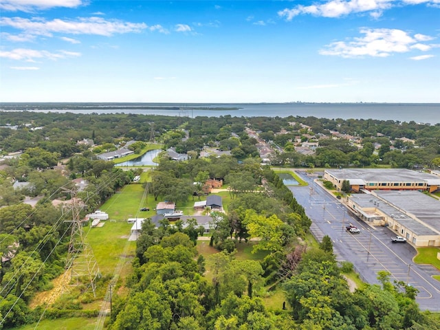 1st Ave N, Safety Harbor, FL 34695 - photo 31