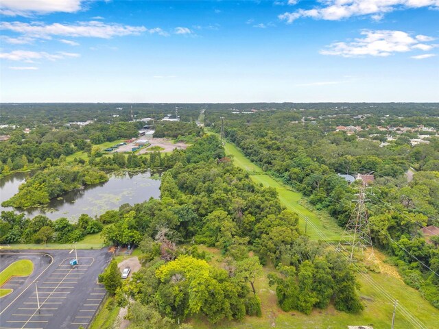 1st Ave N, Safety Harbor, FL 34695 - photo 35
