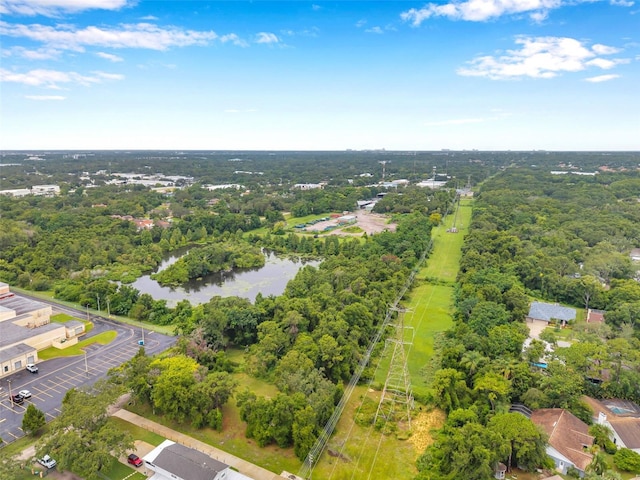 1st Ave N, Safety Harbor, FL 34695 - photo 40