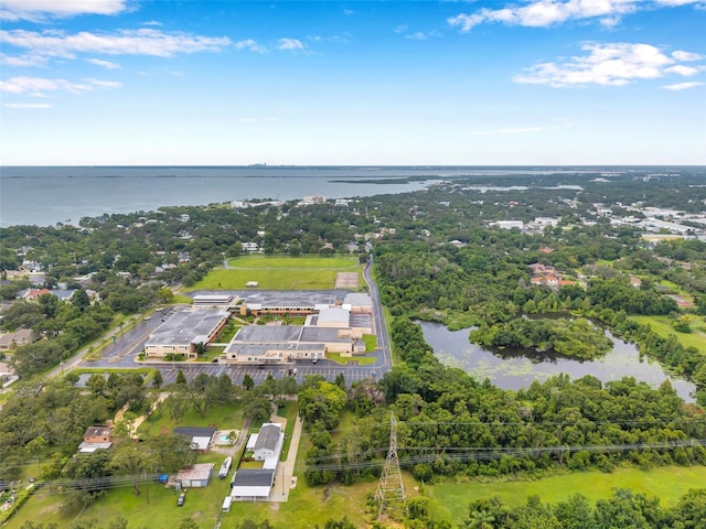 1st Ave N, Safety Harbor, FL 34695 - photo 45