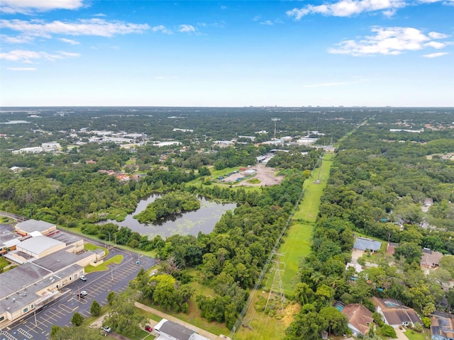 1st Ave N, Safety Harbor, FL 34695 - photo 46