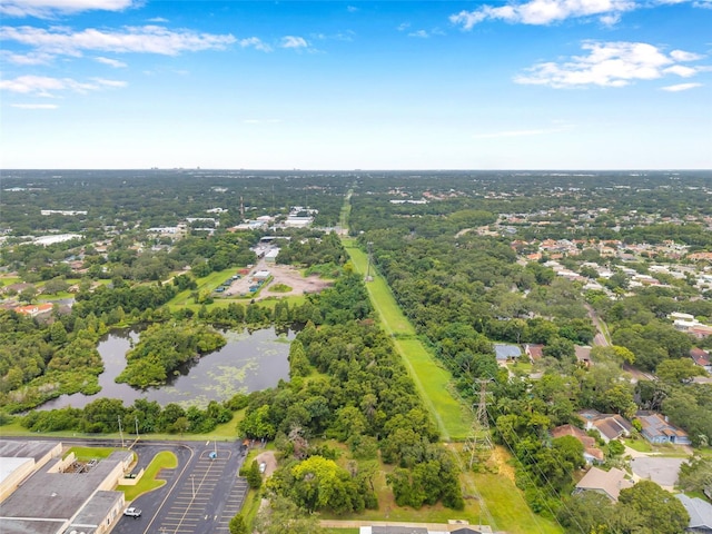 1st Ave N, Safety Harbor, FL 34695 - photo 47