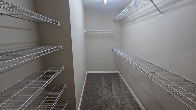 1521 Bonita Bluff Ct, Ruskin, FL 33570 - photo 10
