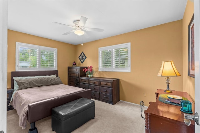 1165 Nelson St, Dunedin, FL 34698 - photo 32