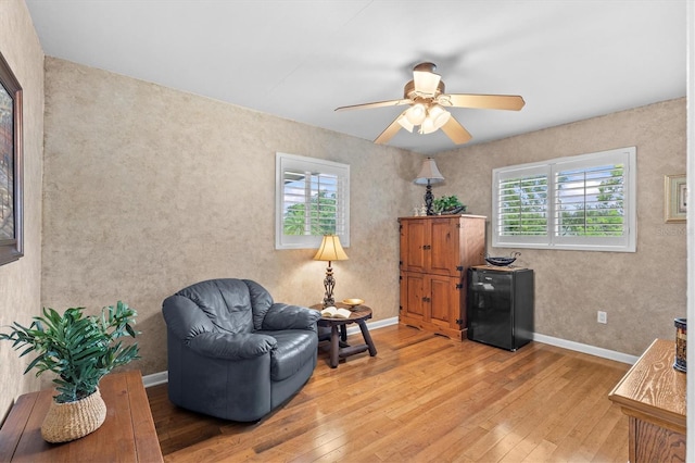 1165 Nelson St, Dunedin, FL 34698 - photo 36