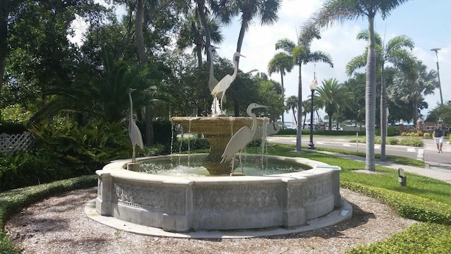 1165 Nelson St, Dunedin, FL 34698 - photo 69