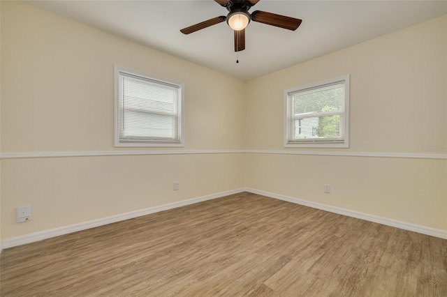8013 Cornwall Ln, Tampa, FL 33615 - photo 19