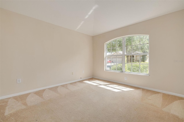 4724 Birchfield Loop, Spring Hill, FL 34609 - photo 35